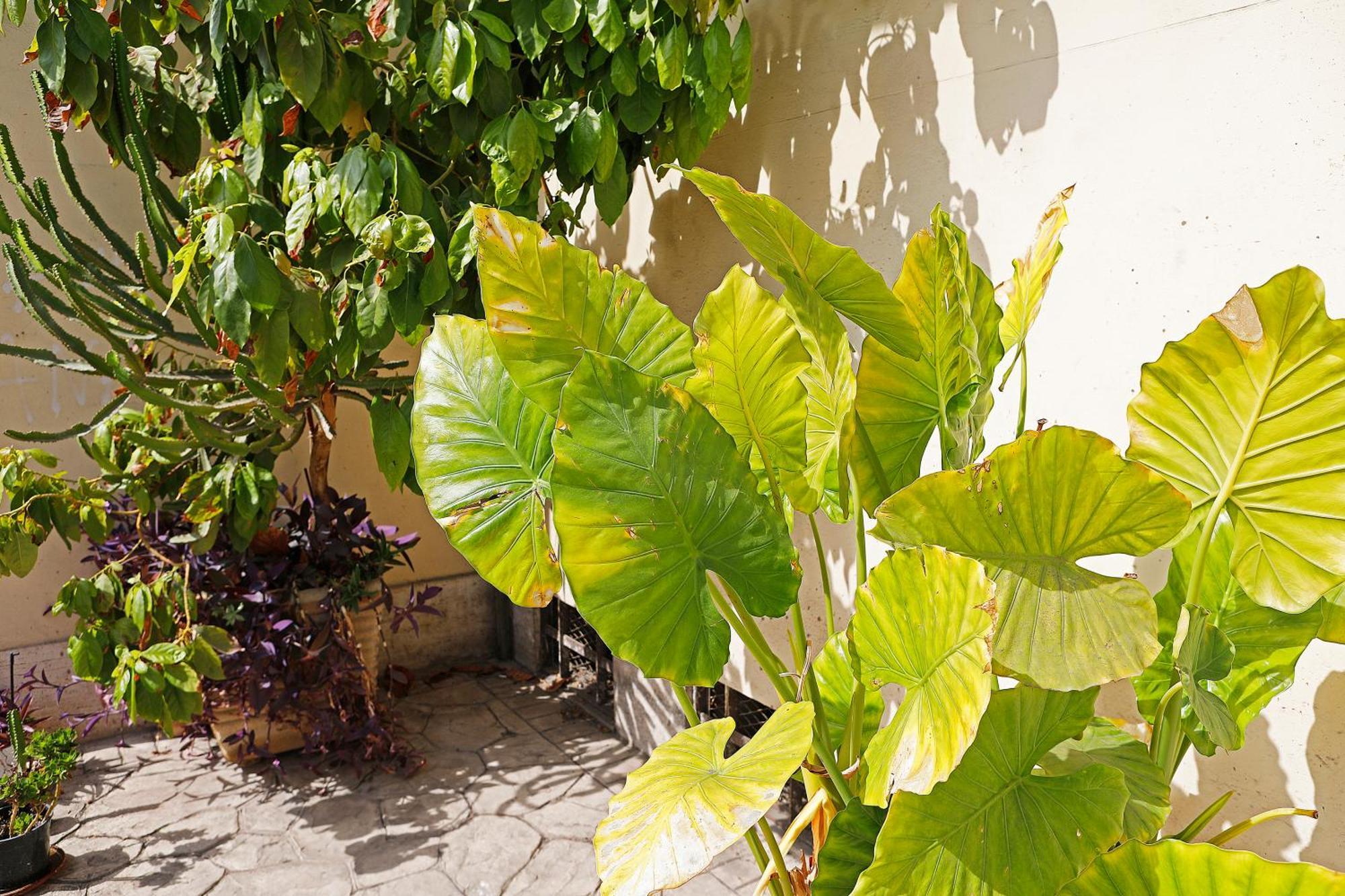 San Martino Bed and breakfast Roma